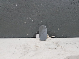 Tapa Buraco Botão Console Central Renault Clio 2007