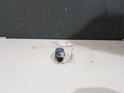 INTERRUPTOR PEDAL EMBREAGEM RENAULT MEGANE GRAND TOUR 2009