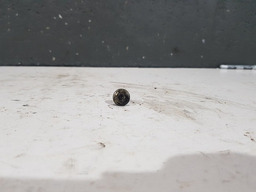 PARAFUSO CARTER MOTOR RENAULT CLIO 1.0 16V 2002