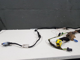 CHICOTE PORTA DIANTEIRA DIREITE CITROEN C4 PICASSO 2010