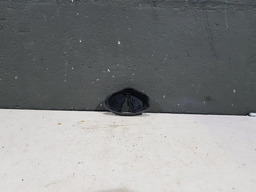 Acabamento Limitador Porta Traseira Esquerda C4 Picasso 2010