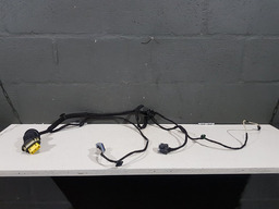 Chicote Porta Traseira Esquerda Citroen C4 Picasso 2010