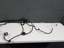 CHICOTE PORTA TRASEIRA ESQUERDA CITROEN C4 PICASSO 2010