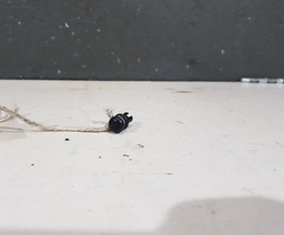 Pino Suporte Bagagito Citroen C4 Picasso 2010