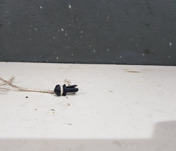 PINO SUPORTE BAGAGITO CITROEN C4 PICASSO 2010