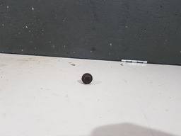 Parafuso Defletor Carter Peugeot 307 2.0 16v