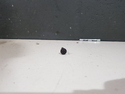 Parafuso Sobre Carter Peugeot 307 2.0 16v