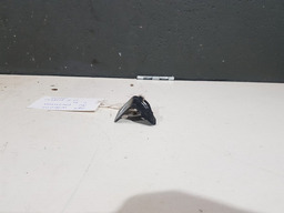 SUPORTE INFERIOR PARA LAMA DIREITO CITROEN C4 PICASSO 2010