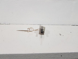 LUZ CORTESIA PORTA LUVAS PEUGEOT 307 2009