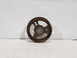 Polia Correia Comando Valvulas Motor Peugeot 307 2.0 16v