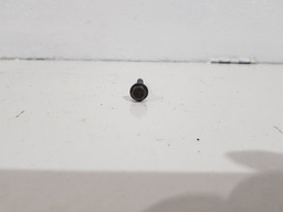 PARAFUSO BOMBA OLEO MOTOR PEUGEOT 307 2.0 16V