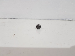 PARAFUSO BOMBA OLEO MOTOR PEUGEOT 307 2.0 16V