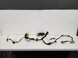 Chicote Porta Dianteira Direita Citroen C4 Picasso 2010