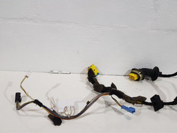 CHICOTE PORTA DIANTEIRA DIREITA CITROEN C4 PICASSO 2010