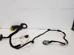 CHICOTE PORTA DIANTEIRA DIREITA CITROEN C4 PICASSO 2010