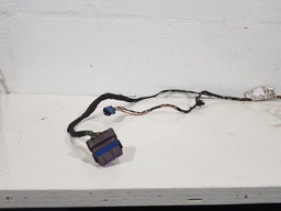 CHICOTE PORTA DIANTEIRA ESQUERDA PEUGEOT 207 PASSION 2011