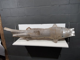 DEDEFLETOR ESCAPAMENTO PEUGEOT 206 2001 HATCH