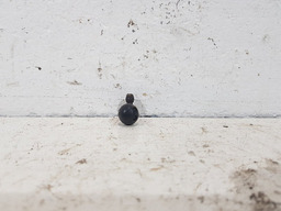 BRUCUTU CAPO DIANTEIRO PEUGEOT 206 2001