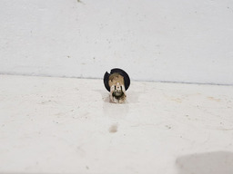 INTERRUPTOR PORTA DIANTEIRA DIREITA PEUGEOT 206 2001