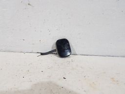 Tampa Parafuso Reboque Para Choque Dianteiro Peugeot 307