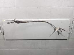 Cabo Embreagem Peugeot 206 2001