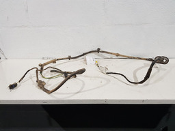 Chicote Luz Placa Citroen C4 Pallas 2009