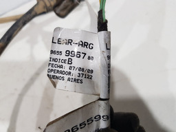 CHICOTE LUZ PLACA CITROEN C4 PALLAS 2009