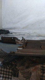 PARA LAMA DIANTEIRO ESQUERDO RENAULT CLIO 2007 COM DETALHE