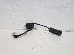 Pedal Acelerador Renault Clio 2002