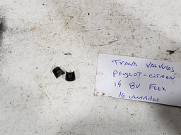 PAR TRAVA VALVULA MOTOR PEUGEOT CITROEN 1.4 8V FLEX