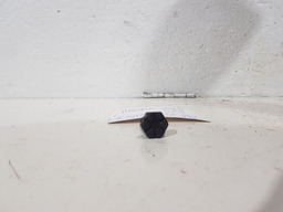 JOGO PARAFUSOS VOLANTE MOTOR RENAULT KANGOO 1.6 16V 2010