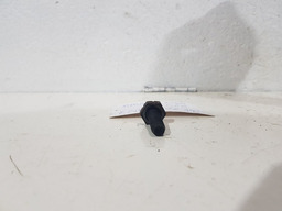 JOGO PARAFUSOS VOLANTE MOTOR RENAULT KANGOO 1.6 16V 2010