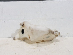 RESERVATORIO AGUA PARA BRISA CITROEN C4 PALLAS 2010