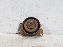 Polia Esticador Correia Motor Peugeot 207 1.4 8v 2011