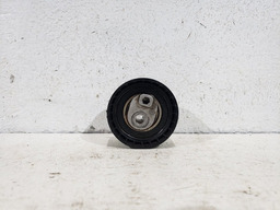 Polia Esticador Correia Renault Kangoo 1.6 16v 2010 Flex