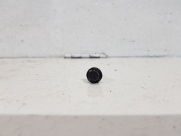 PARAFUSO FLANGE VIRABREQUIM MOTOR RENAULT KANGOO 1.6 16V