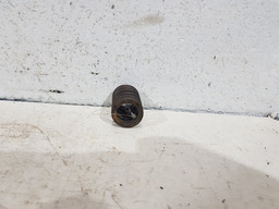 MOLA VALVULA MOTOR RENAULT KANGOO 1.6 16V FLEX