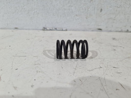 MOLA VÁLVULA MOTOR CITROEN XSARA VTS 1.8 16V