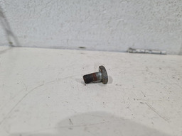 PARAFUSO VOLANTE MOTOR PEUGEOT 407 SW 2.0 16V