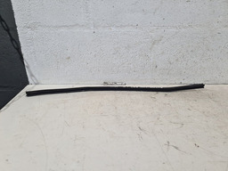 BORRACHA PORTA TRASEIRA DIREITA CITROEN XSARA PICASSO 2011