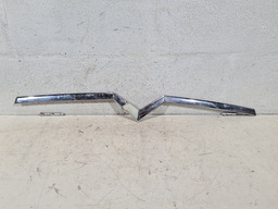 FRISO EMBLEMA CAPO DIANTEIRO CITROEN C4 PALLAS