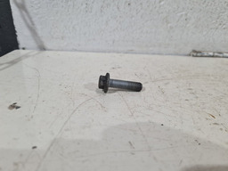 PARAFUSO COLETOR ADMISSÃO RENAULT MEGANE 1.6 16V FLEX