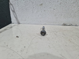 PARAFUSO COLETOR ADMISSÃO RENAULT MEGANE 1.6 16V FLEX