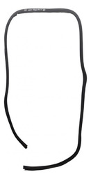 BORRACHA PORTA DIANTEIRA DIREITA RENAULT CLIO 1999