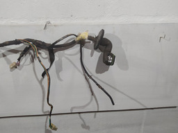 CHICOTE PORTA DIANTEIRA ESQUERDA RENAULT CLIO 1999