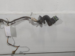 CHICOTE PORTA DIANTEIRA DIREITA RENAULT CLIO 1999