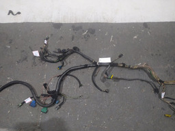 CHICOTE SENSORES MOTOR RENAULT CLIO 1.6 8V 1999 COM DETALHE