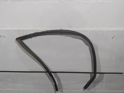 BORRACHA CANALETA PORTA DIANTEIRA DIREITA RENAULT CLIO 1999