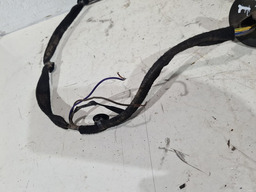 CHICOTE PORTA TRASEIRO ESQUERDA CITRONIC C3 2009