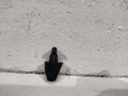 BRUCUTU ESGUICHO AGUA RENAULT CLIO 1999